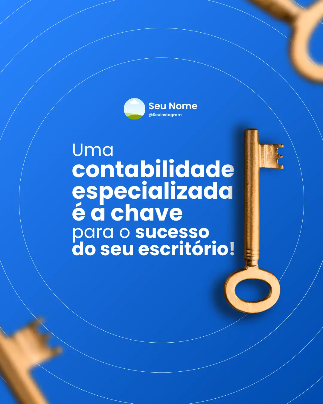 Arte sobre contabilidade especializada